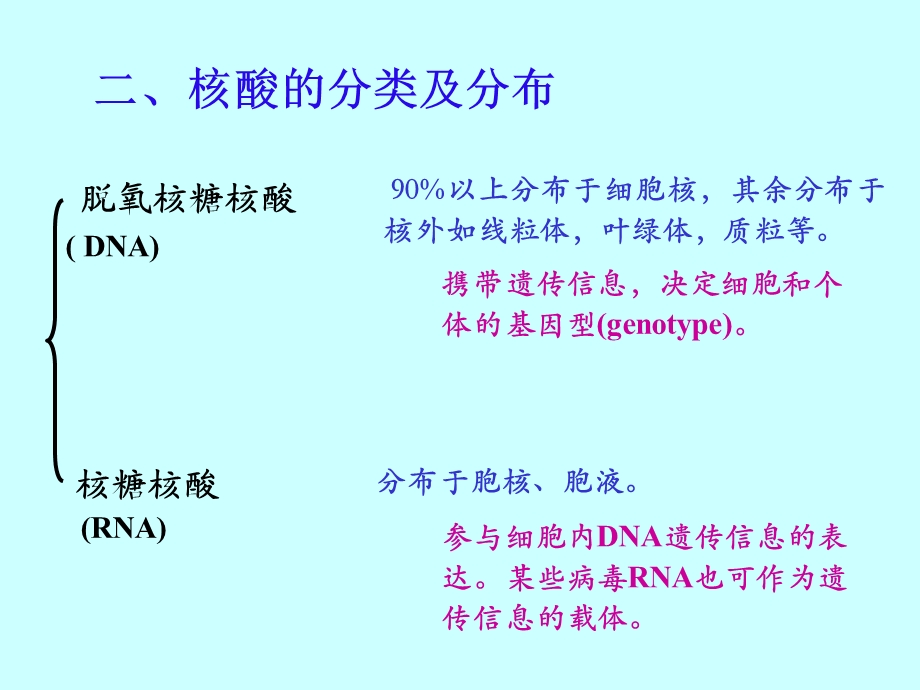 第二部分核酸的结构和功能.ppt_第3页