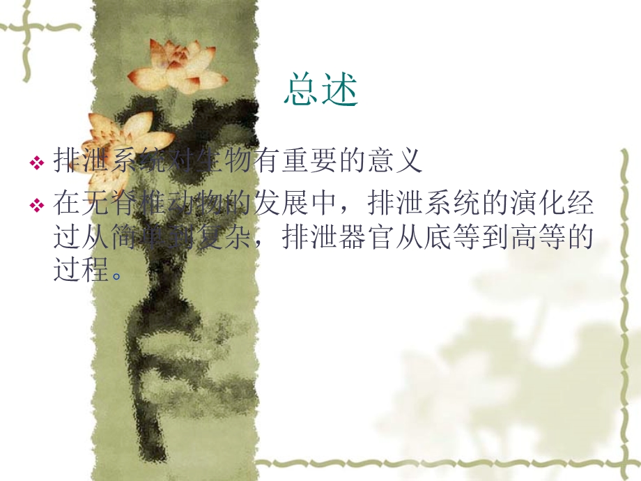 无脊椎动物排泄系统的发展与循环系统的关系.ppt_第2页