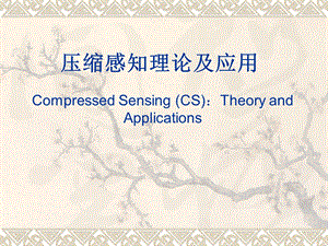 压缩感知介绍PPT.ppt