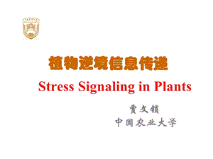 植物逆境信息传递研究进展.ppt