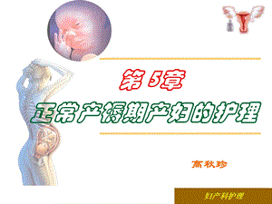 正常产褥期产妇的护理第一节.ppt