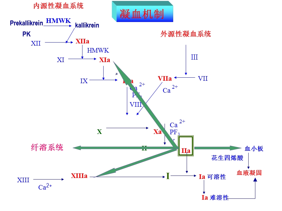 影响血液及造血系统的药物.ppt_第3页