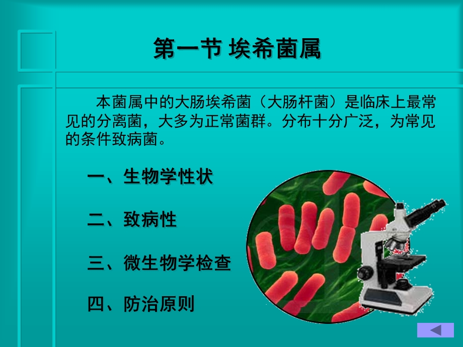 第八肠道杆菌.ppt_第2页