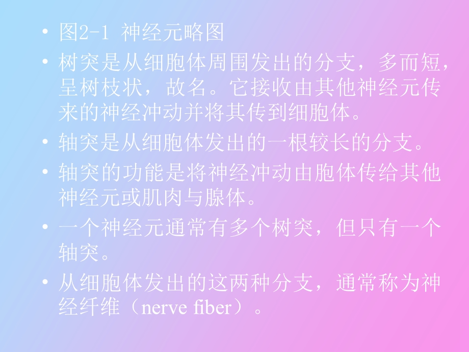 心理的生理基础.ppt_第2页