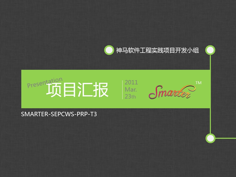 项目汇报.ppt_第1页