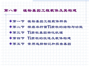 植物基因工程载体及其构建.ppt