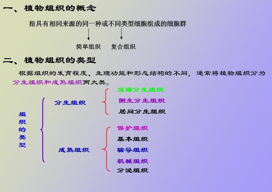 植物组织上课用.ppt_第2页