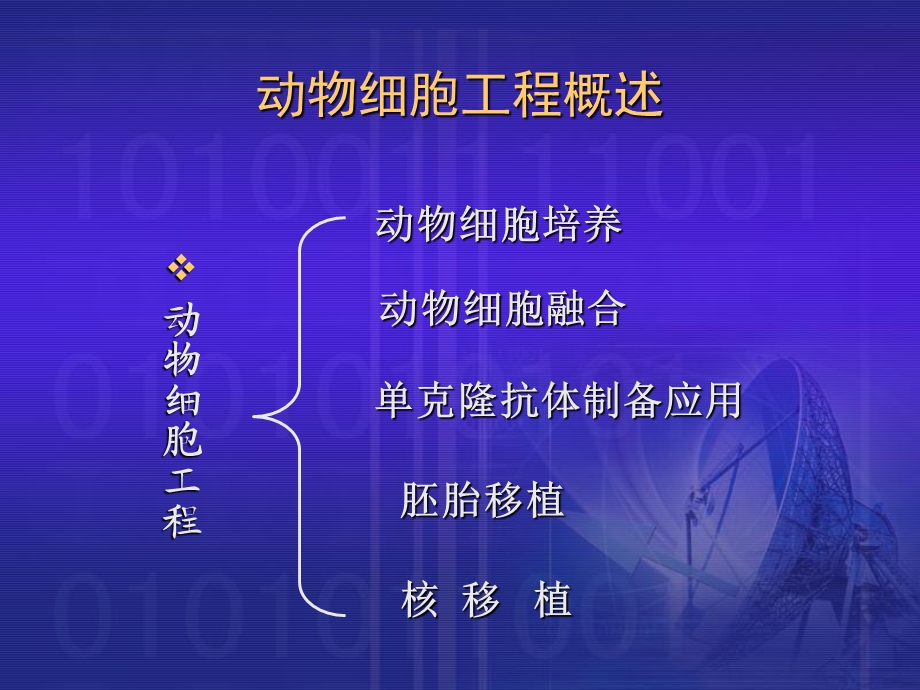 植物细胞工程与动物细胞工程的比较.ppt_第1页