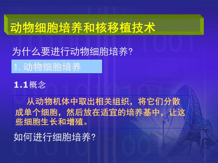 植物细胞工程与动物细胞工程的比较.ppt_第3页