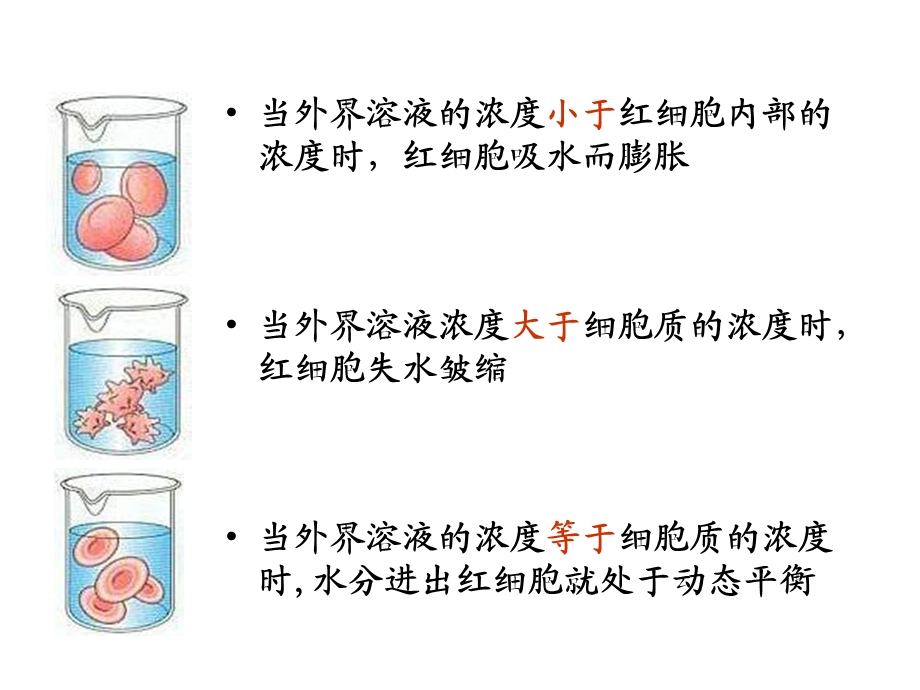 细胞膜图片2.ppt_第1页