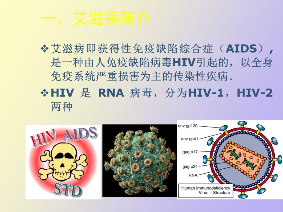 抗艾滋病药物.ppt_第2页