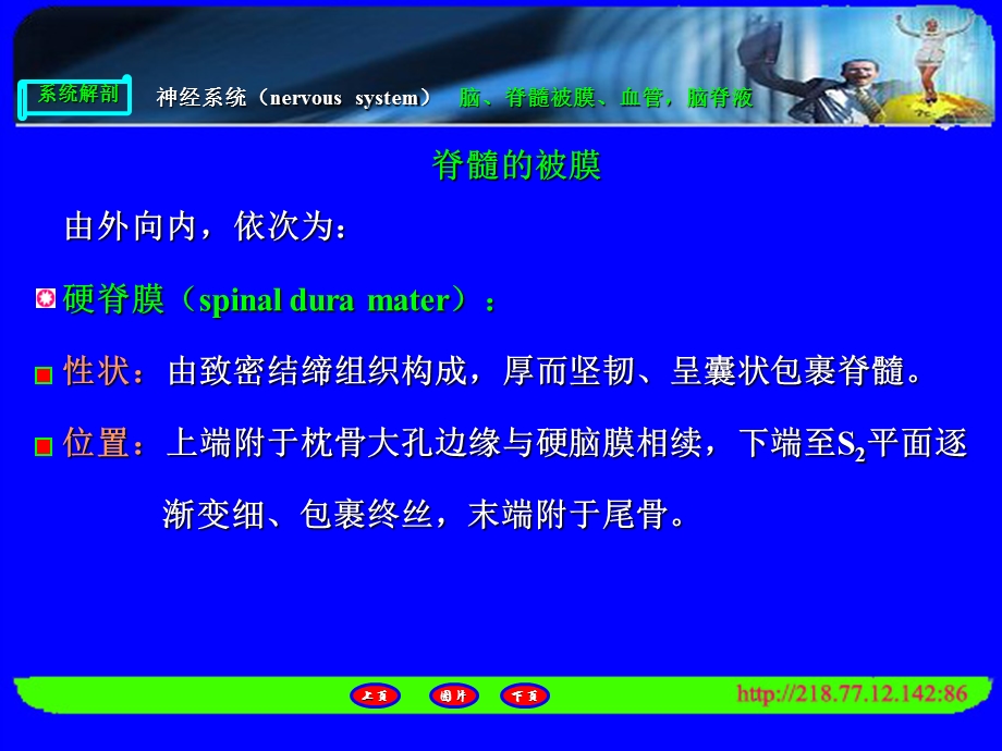 脑、脊髓被膜、血管,脑脊液.ppt_第3页