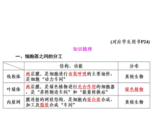 细胞器之间的分工.ppt