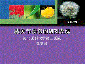 膝关节损伤MRI诊断.ppt