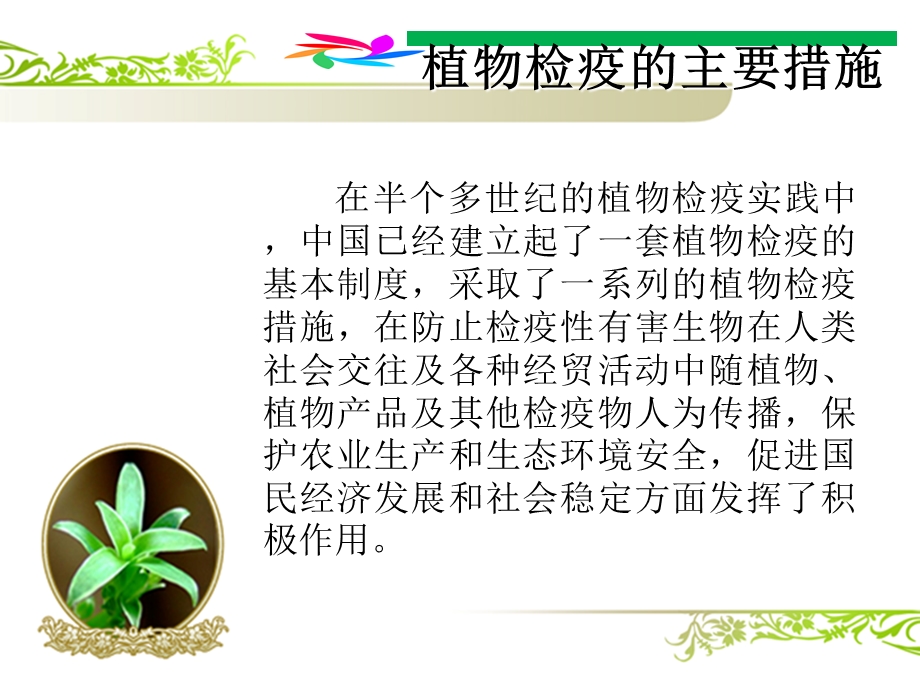 植物检疫的主要措.ppt_第2页