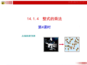 整式的乘法第四课时初二数学上册.ppt