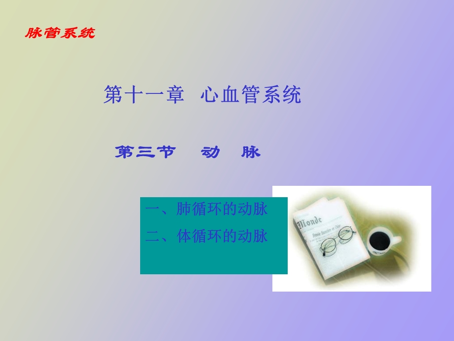 正常人体解剖学.ppt_第2页