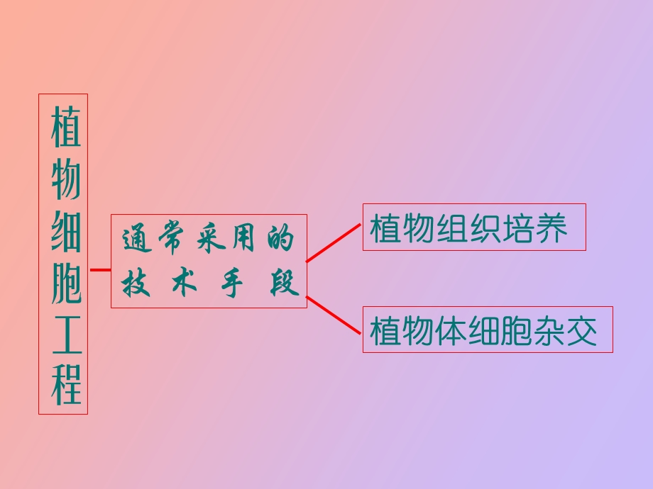 植物细胞工程的实际应用很好用.ppt_第2页