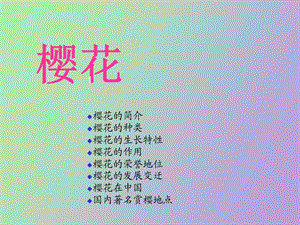 樱花知识介绍.ppt