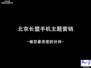 无线营销方案手机主题广告.ppt