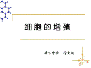 细胞增殖.ppt