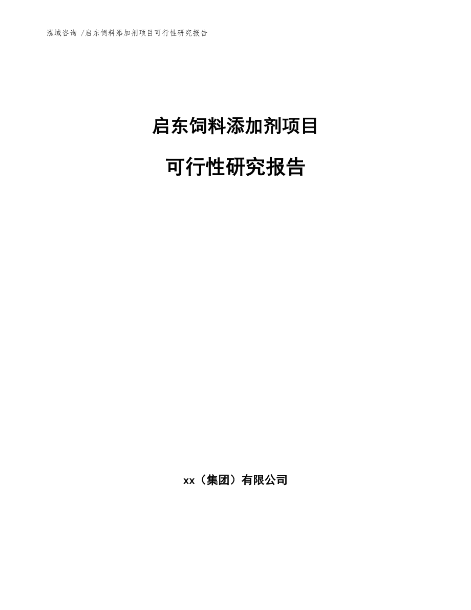 启东饲料添加剂项目可行性研究报告范文.docx_第1页