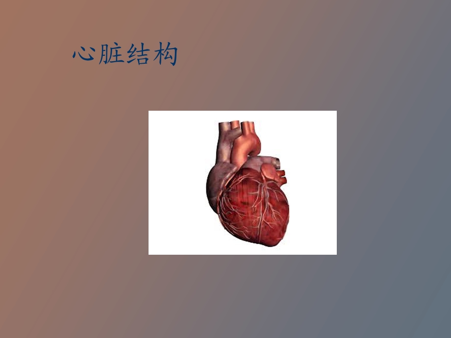 循环系疾病患儿的护理.ppt_第3页