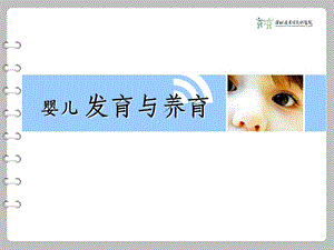 婴儿发育与养育.ppt