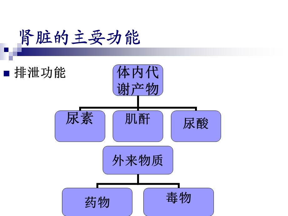 肾功能检查.ppt_第2页