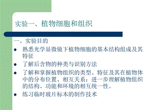 植物细胞和组织实验.ppt