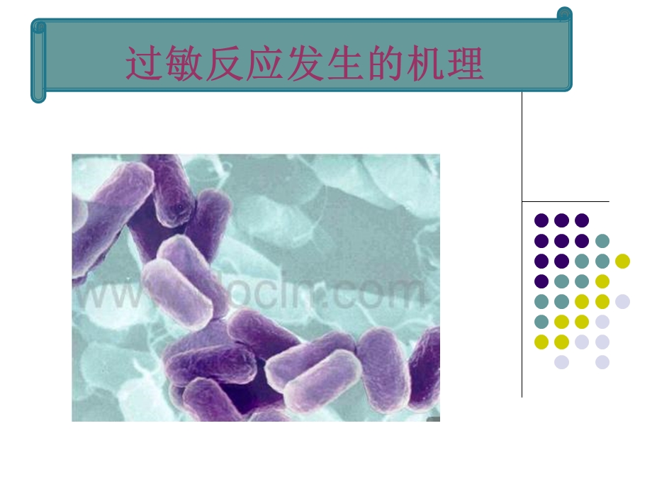 我院需做皮肤敏感性试验药品.ppt_第3页