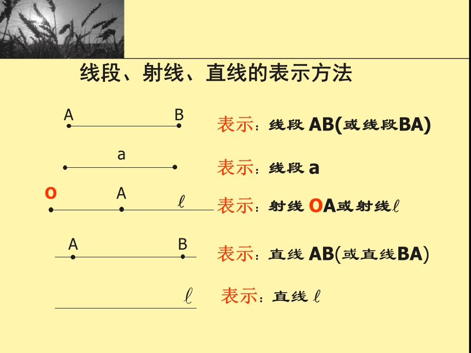 线段射线直线复习课.ppt_第2页