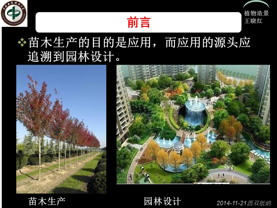 从植物造景功能谈我国苗木业的发展趋势.ppt_第3页