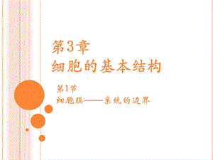 细胞膜——系统的边界.ppt