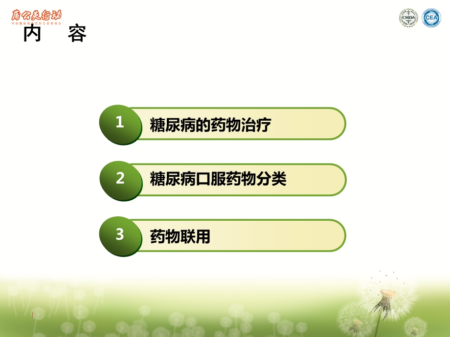 糖尿病的口服药物.ppt_第2页