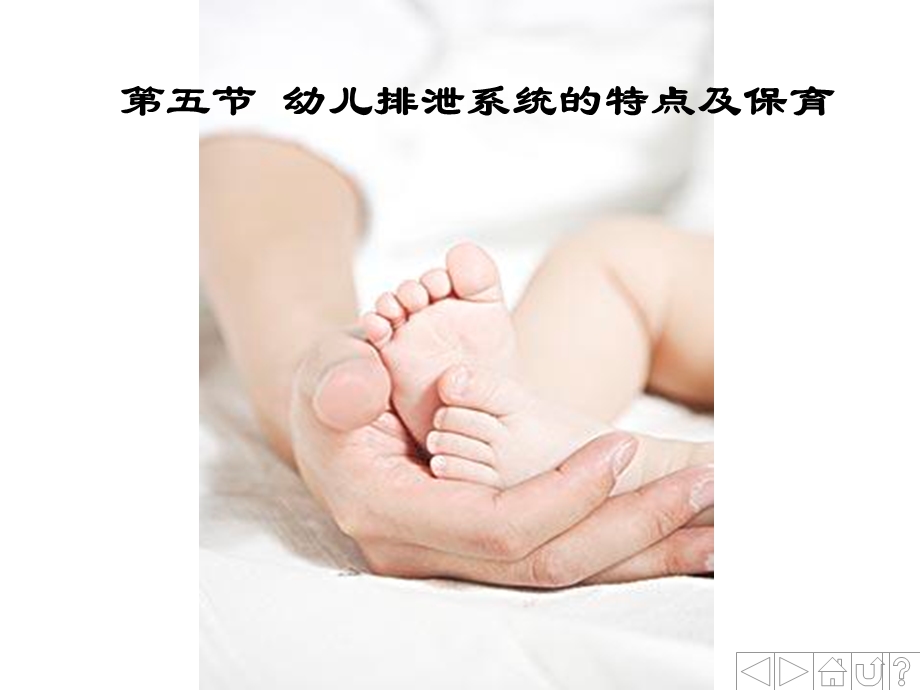 排泄系统与内分泌系统.ppt_第1页