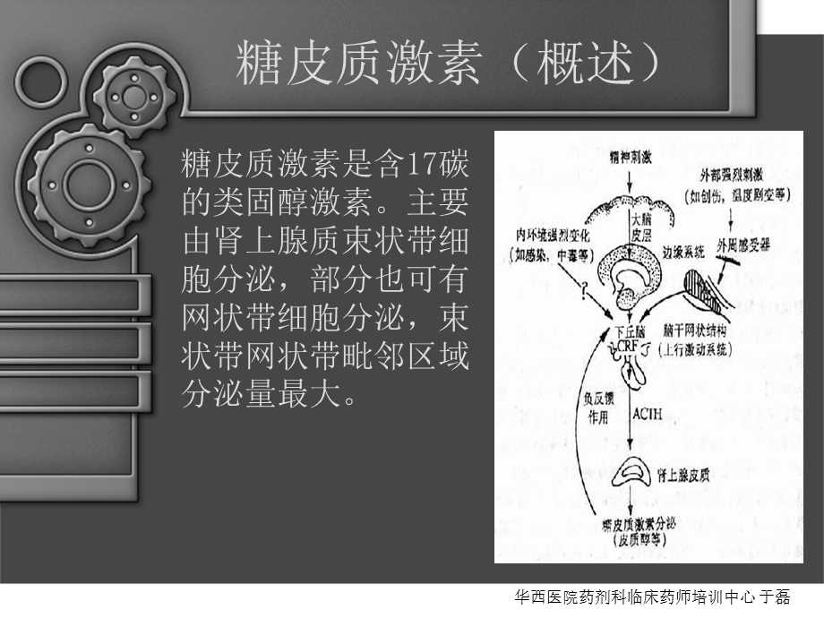 糖皮质激素在神经免疫疾病中的应用.ppt_第2页