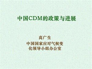 中国CDM的政策与进展.ppt