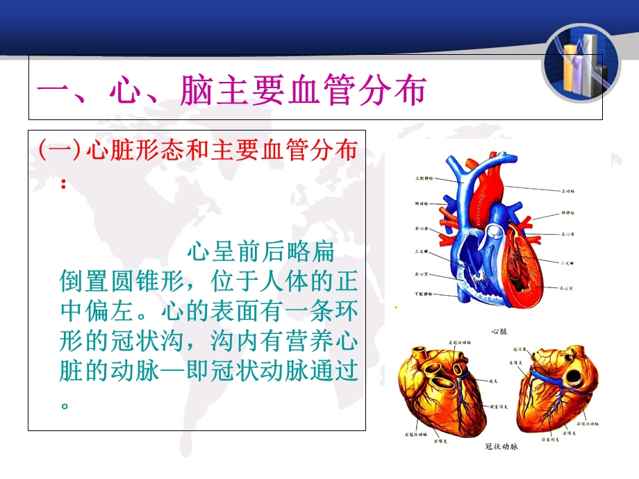 心脑血管、常见疾.ppt_第3页