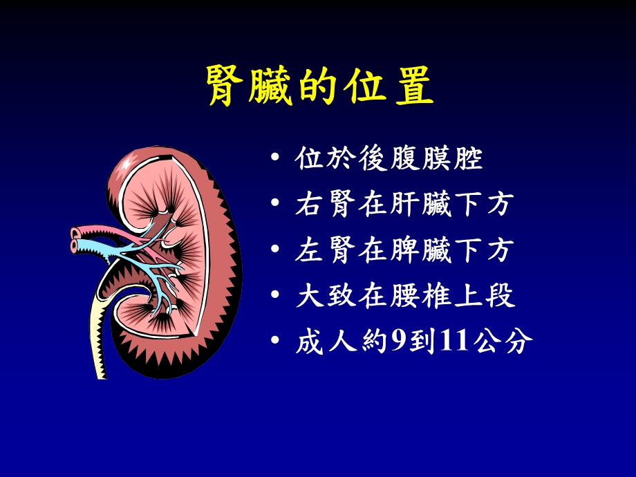 蛋白尿谈肾脏保健.ppt_第2页