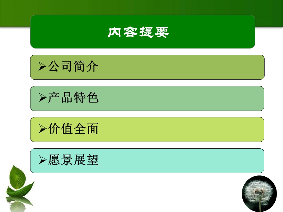 新湖地产案例分析.ppt_第2页