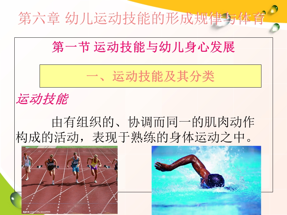 幼儿运动技能的形成规律与体育.ppt_第3页