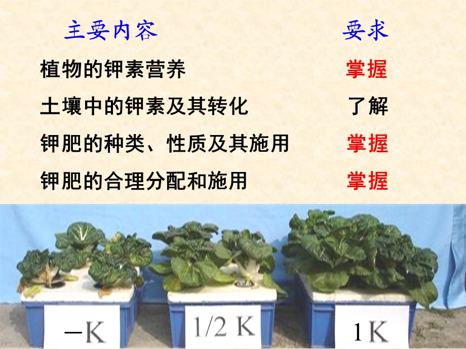 植物的钾素营养与钾肥.ppt_第3页