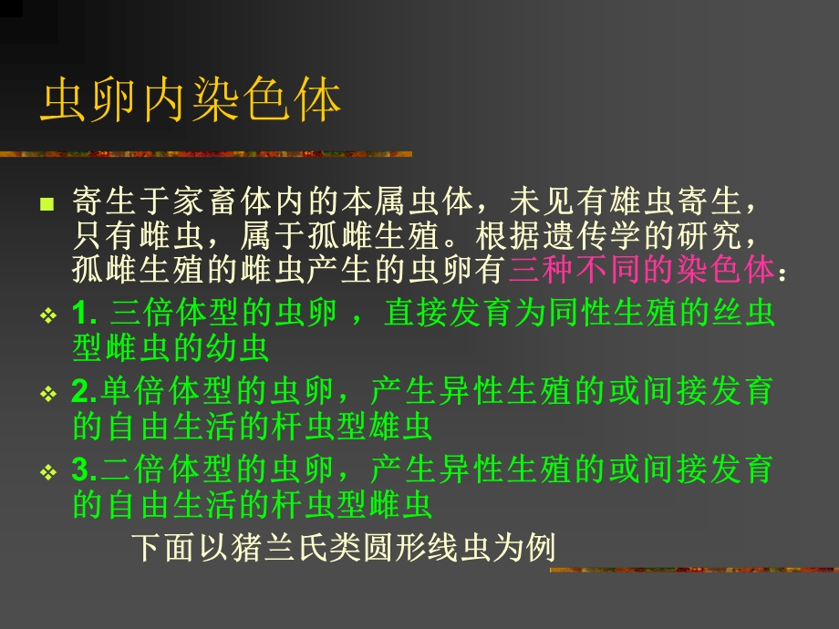 杆虫病第三节旋毛虫.ppt_第2页