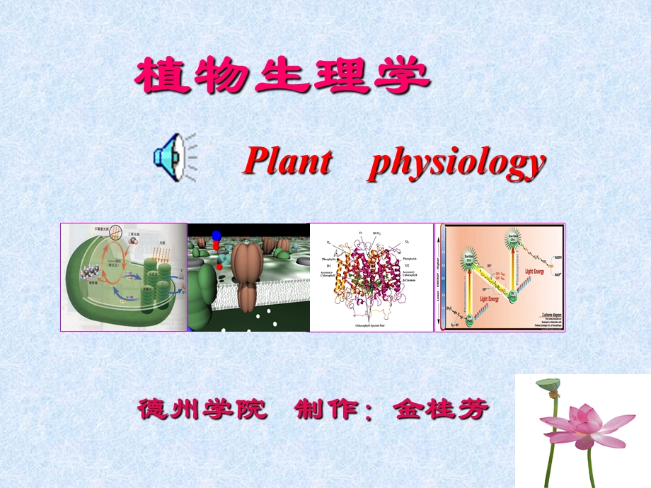 植物生理学9成熟与衰老.ppt_第1页