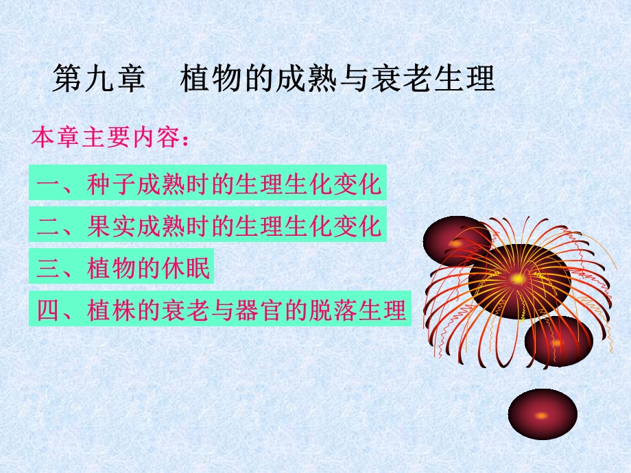 植物生理学9成熟与衰老.ppt_第2页