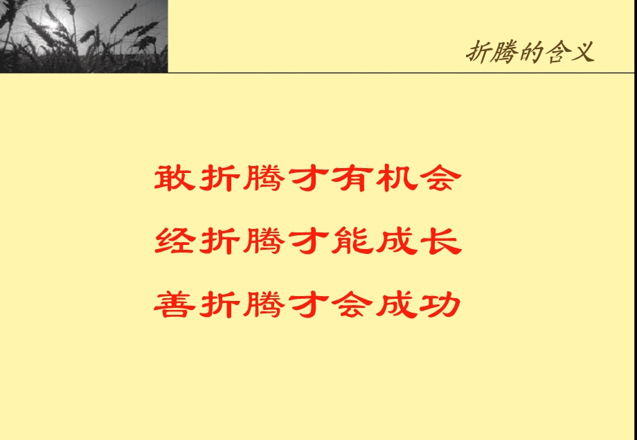 骨干是折腾出来的.ppt_第3页