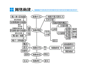 细胞周期(分裂期、分裂间期).ppt