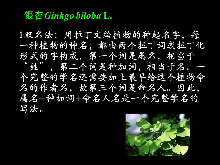 植物细胞的形态结构.ppt_第3页