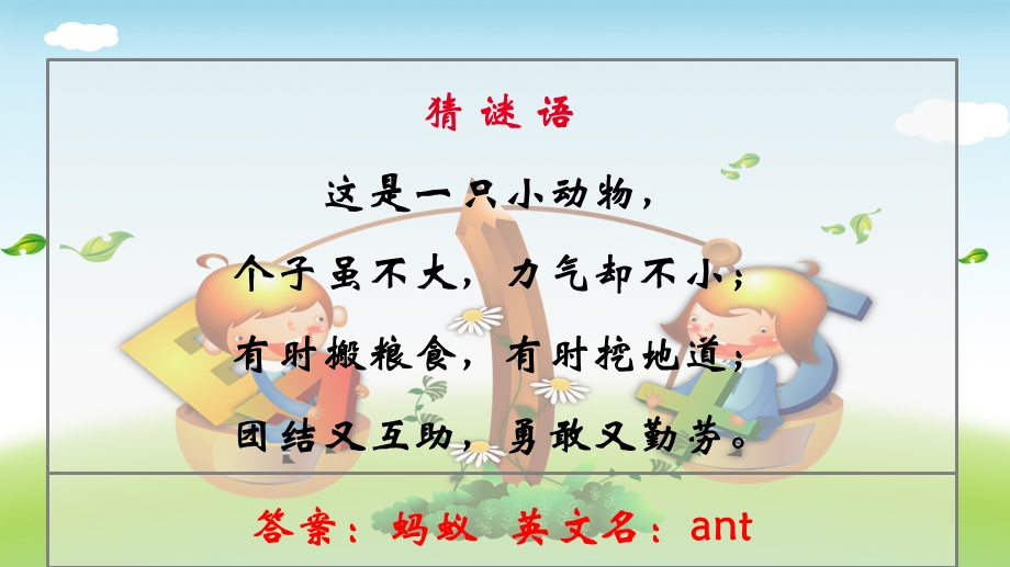 幼儿园蚂蚁教学认识蚂蚁蚂蚁分类.ppt_第2页